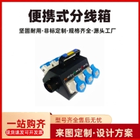 Portable simple power distribution box